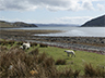 Skye island-4picto